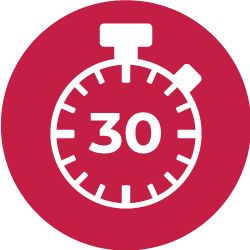 Icon Service 30